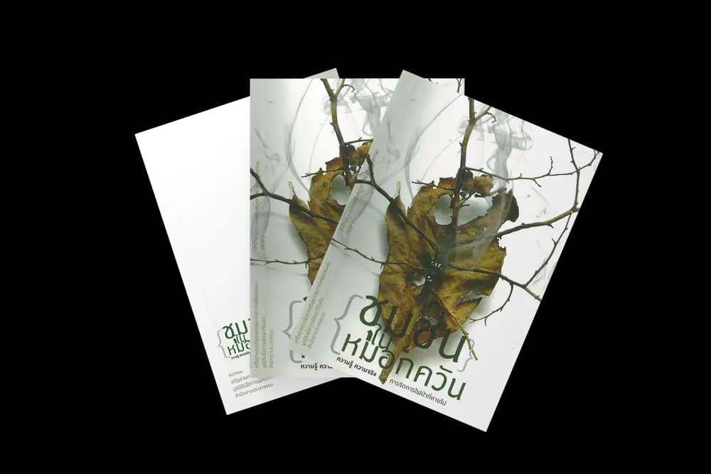 ชุมชนหมอกควัน (2552)