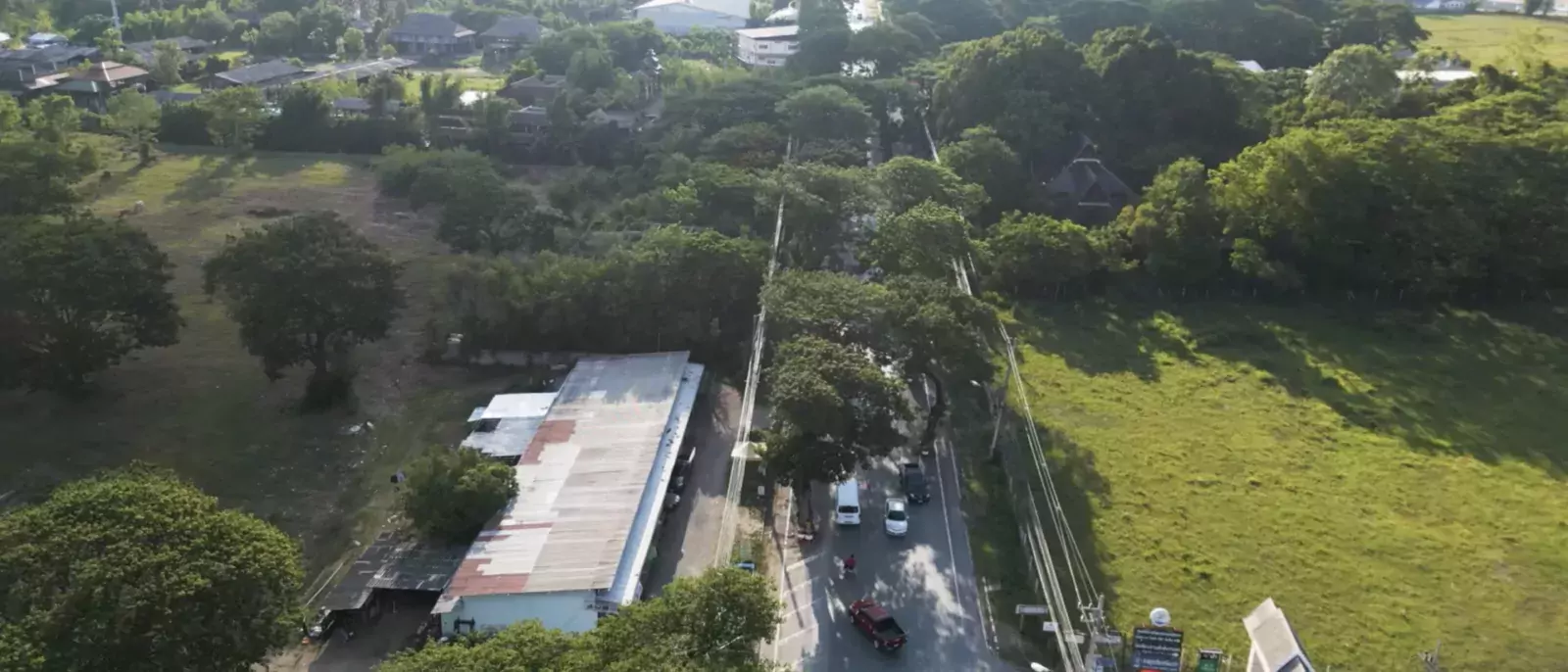 จำนวนต้นฉำฉา-สันกำแพงส่งท้ายปี 2566 พร้อมแนวทางฟื้นฟูดูแลในปีต่อไป