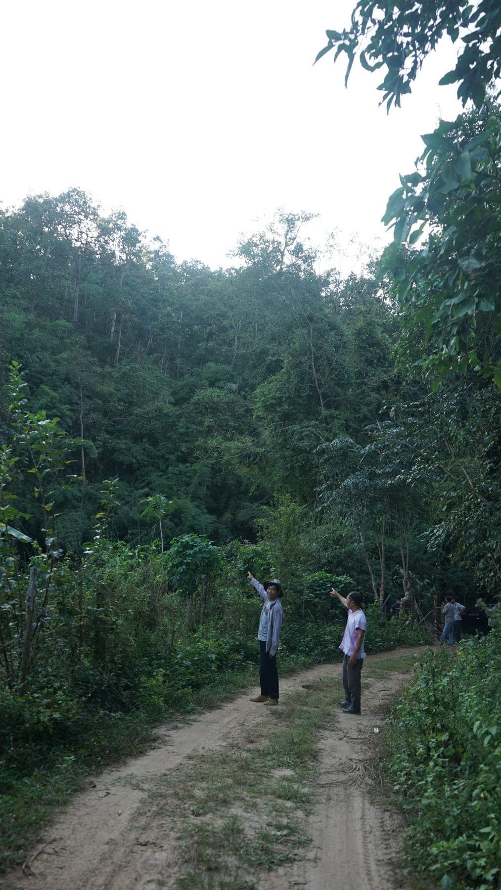 หลังน้ำท่วมเมืองเชียงใหม่ คนเชียงดาวเฝ้าระวังการกลับมาของ “เขื่อนต้นน้ำปิง” อ้างแก้น้ำท่วม